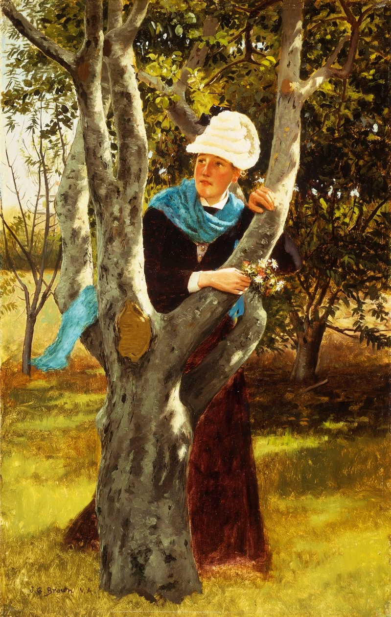 Tra gli alberi
